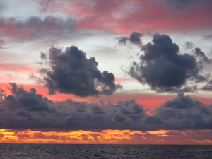 Sargasso Sea Sunrise 4
